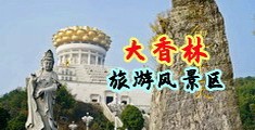 用力干我好爽视频在线中国浙江-绍兴大香林旅游风景区